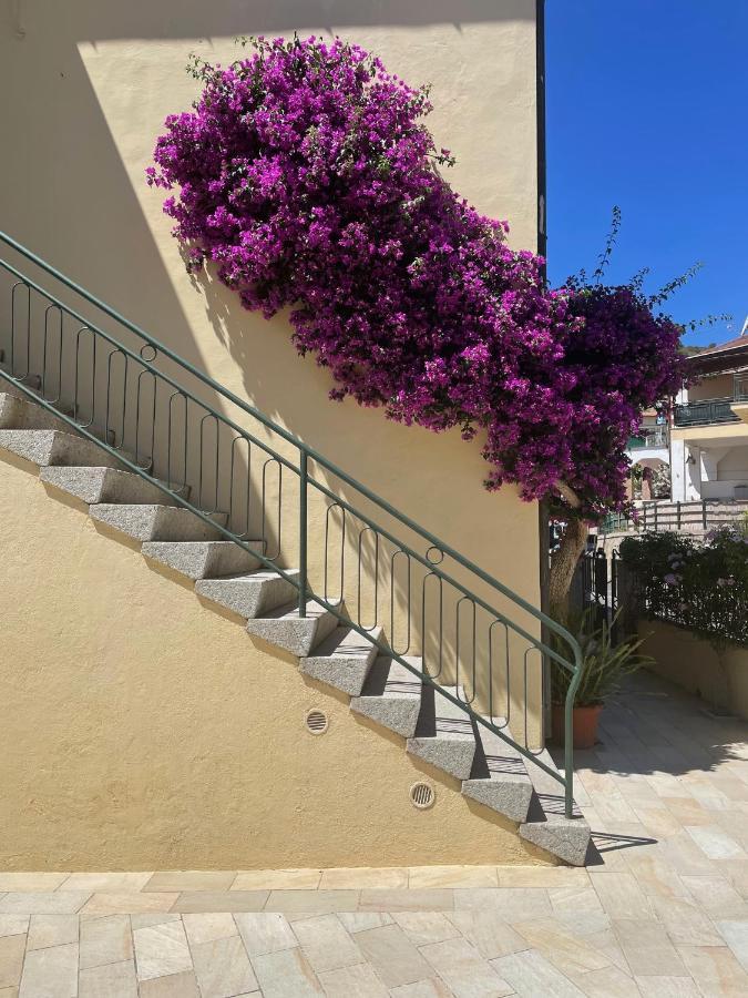 B&B L'Albero Di Melograno 瑟克罗 外观 照片